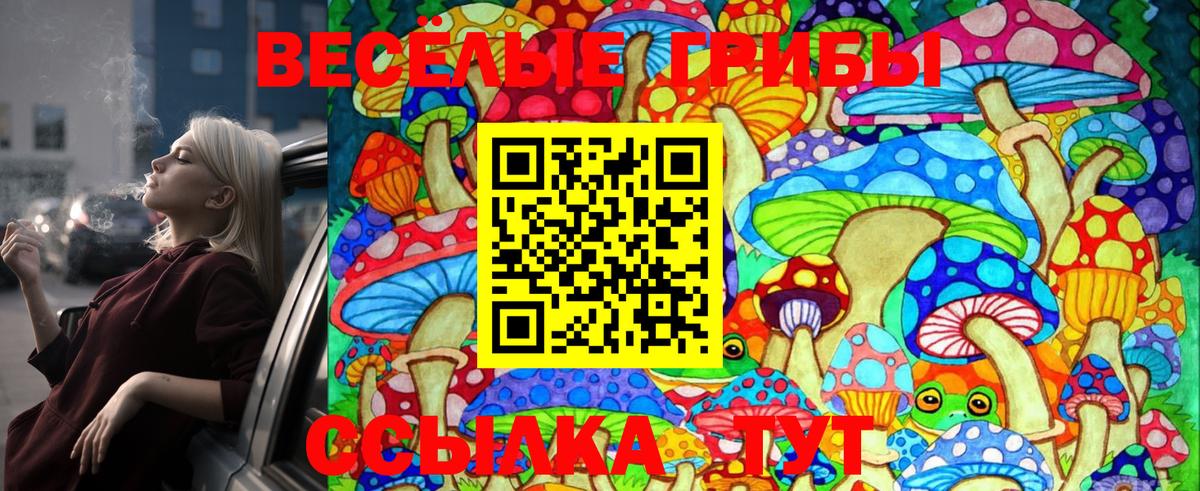 Владимир  Псилоцибиновые грибы MAGIC MUSHROOMS  Вход с VPN 